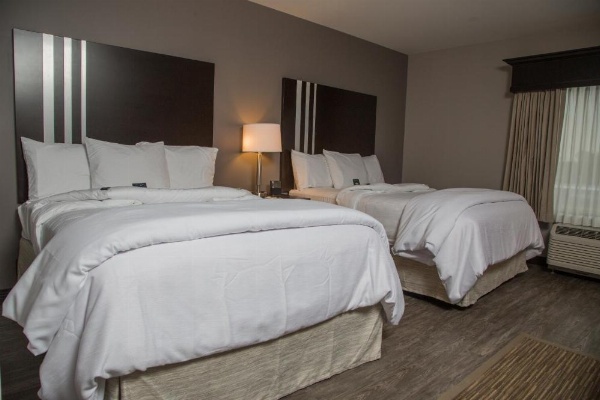 巴塔维亚公园酒店 image 20